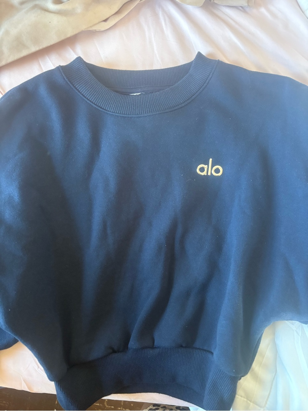 ALO Yoga Navy Sweatshirt with Small Embroidered Logo
